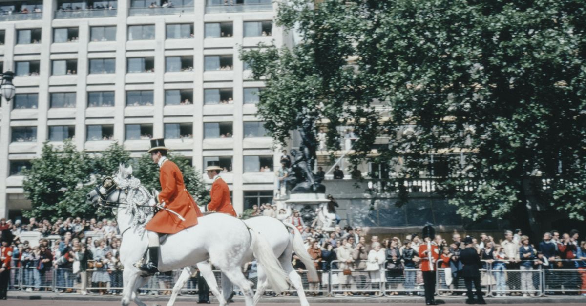 Cultural Influence of Iconic Sports Events